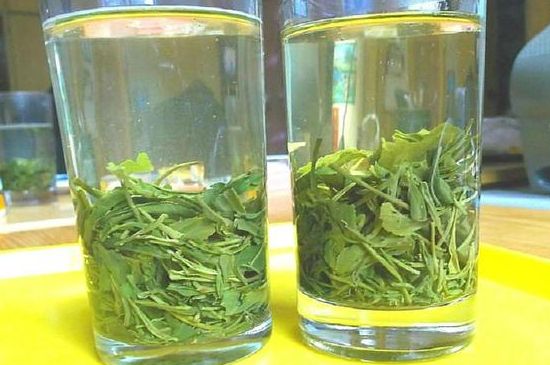 茶葉為什么不能亂送人，買茶葉一次送一盒還是兩盒