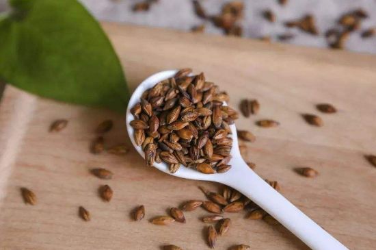 大麥茶上火嗎，喝大麥茶會不會上火？