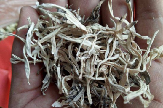 麗江雪茶的禁忌，白雪茶的副作用