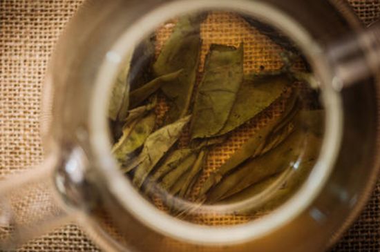 苦丁茶副作用，苦丁可以經(jīng)常喝嗎？