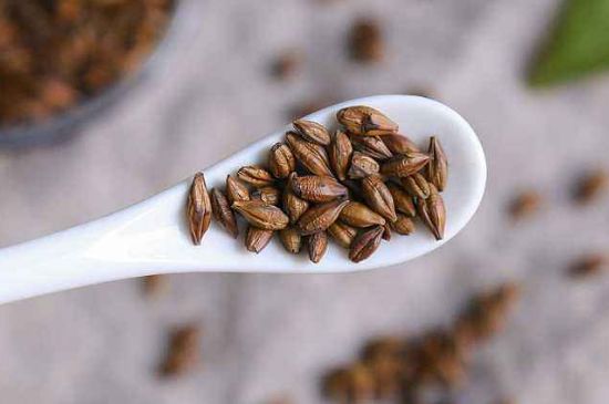 飯店的大麥茶為什么那么香，自己泡的蕎麥茶沒飯店香