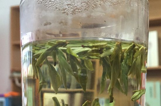 煮茶器能煮龍井嗎，龍井茶能不能用煮茶器圖