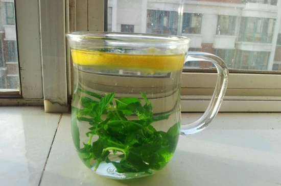 薄荷茶的功效與作用，喝薄荷茶有什么好處？