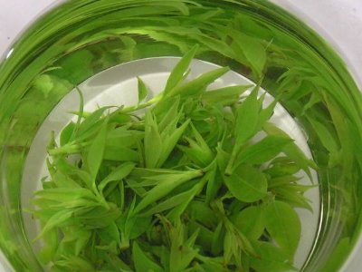 茶葉具有什么功效，茶葉的功效與作用大全