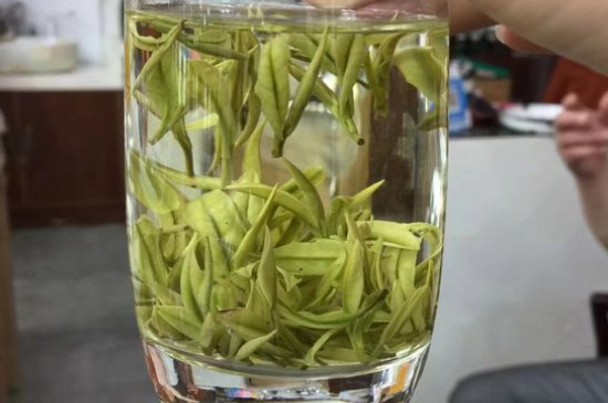 茶葉過期5年了但沒開封，茶葉放久了能喝嗎