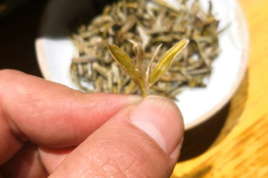 六大茶類哪種適合長(zhǎng)期存放，日常如何保存方法一覽？