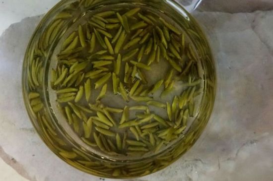 茶葉在哪里買比較好，哪里能買到好的茶葉