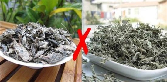 張家界茅巖莓茶與藤茶是同一種茶嗎，藤茶跟莓茶一不一樣？