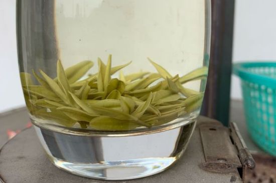 安吉白茶耐寒嗎，白茶適合放冰箱嗎