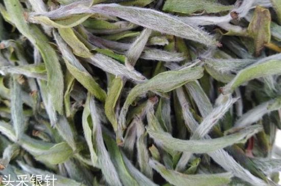 春茶季怎么辨別白毫銀針的好壞，好的白毫銀針如何選購？