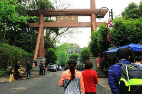 杭州買龍井茶攻略，怎么買到正宗的西湖龍井？