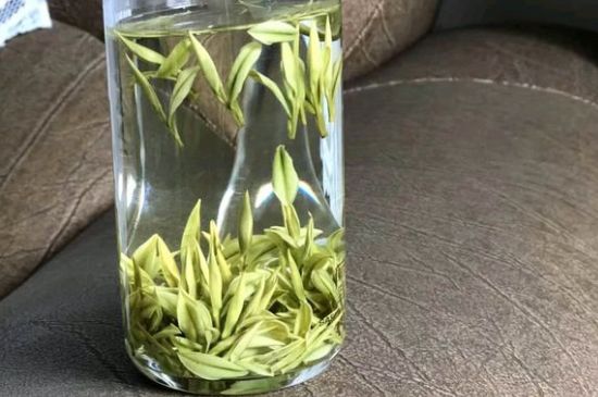 安吉白茶夏天怎么保存，安吉白茶能冷凍儲(chǔ)存嗎？