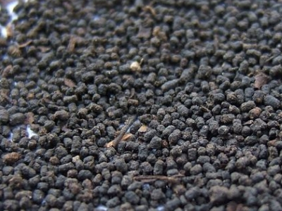 圓形顆粒狀茶是什么茶，像飼料一樣一粒粒的是什么茶？