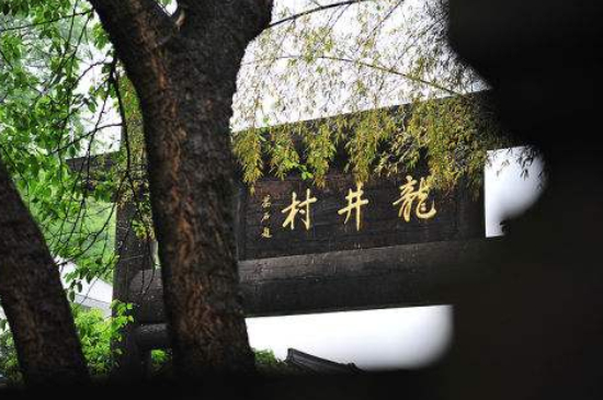 杭州買龍井茶攻略，怎么買到正宗的西湖龍井？