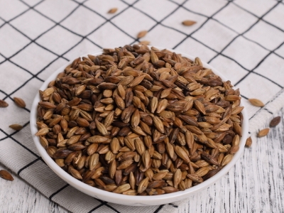 圓形顆粒狀茶是什么茶，像飼料一樣一粒粒的是什么茶？