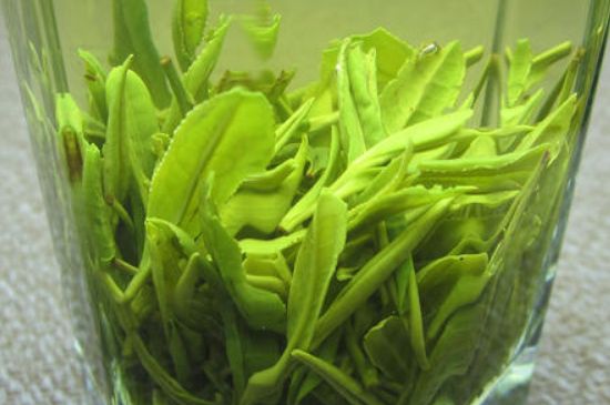 哪種茶葉可以放冰箱，哪些茶不能放冰箱？