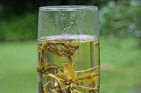 茉莉龍珠什么人不能喝，茉莉龍珠茶什么體質(zhì)不能喝？