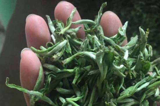 茉莉茶如何制作曬干，自制茉莉茶的做法