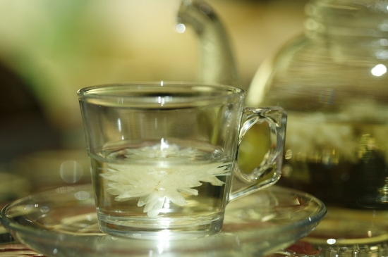 菊花茶天天喝行嗎，每天喝菊花泡茶喝好嗎？