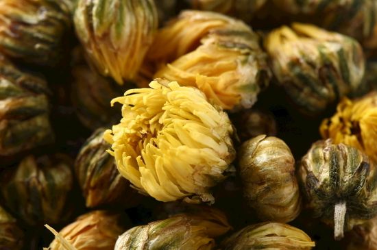 蒲公英搭配大全，蒲公英泡水喝的8種搭配