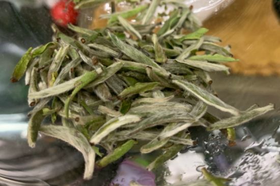 蒸汽煮茶器適合什么茶，蒸汽煮茶器適合用綠茶嗎？