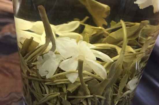 女孩喝茉莉茶的好處，茉莉茶葉的功效與禁忌