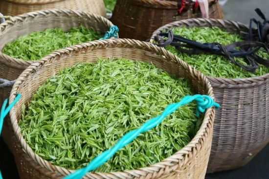 茶葉怎么炒制才香，怎樣炒茶葉更香？