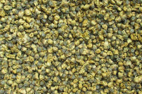 菊花茶大朵小朵有什么區(qū)別，菊花喝大朵還是小朵？