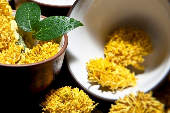 孕婦可以喝菊花茶嗎，菊花對胎兒有致畸作用？