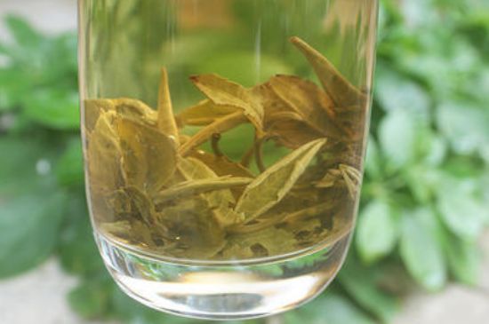 茉莉龍珠泡開后為什么都是梗，茉莉龍珠泡開后什么樣？