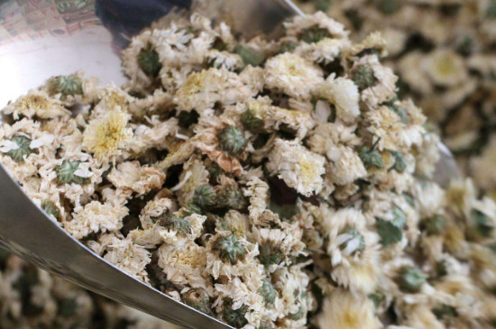 菊花茶買小朵還是大朵，泡茶用的小菊花和大菊花哪個(gè)好