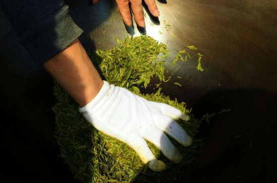 茶葉怎么炒制才香，怎樣炒茶葉更香？