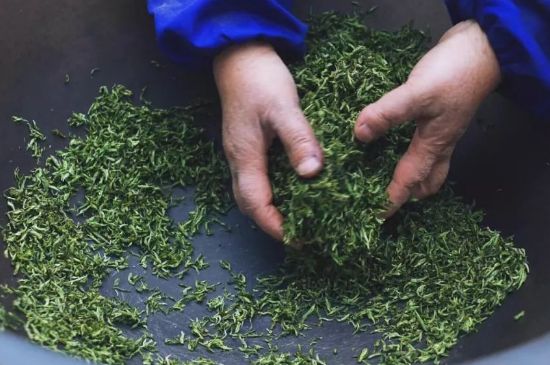 自家炒茶葉怎么炒，自己炒茶葉的步驟