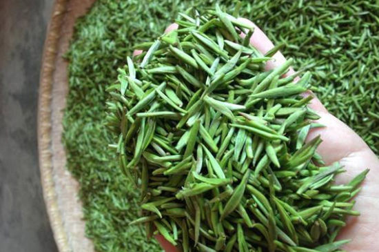 采茶的方法與步驟，如何正確采摘茶葉？