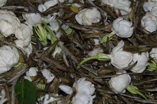 茉莉龍珠怎么做的，茉莉龍珠的制作工藝