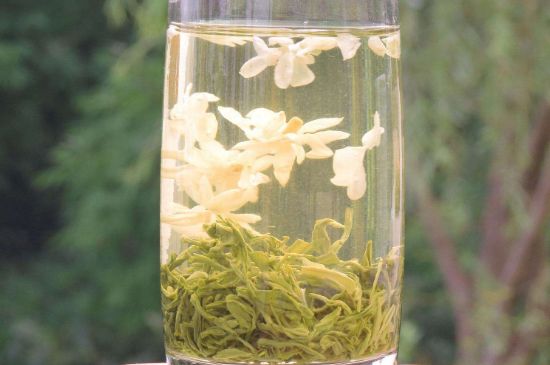 茉莉龍珠可以和什么一起泡茶，茉莉龍珠茶能加蜂蜜嗎？