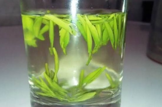 翠眉是什么茶，適合什么時候喝