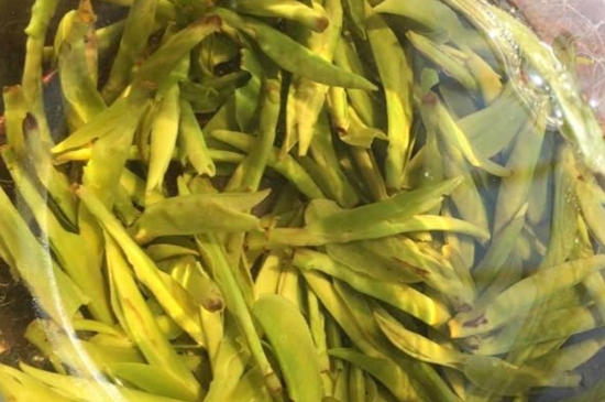 龍井是明前的好還是雨前的好，明前茶和雨前茶哪個(gè)好喝？