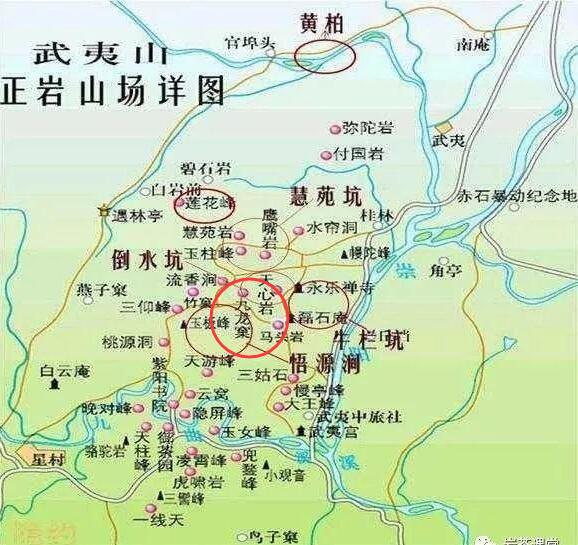 母樹大紅袍給誰喝了，為什么母樹大紅袍叫三棵六株？