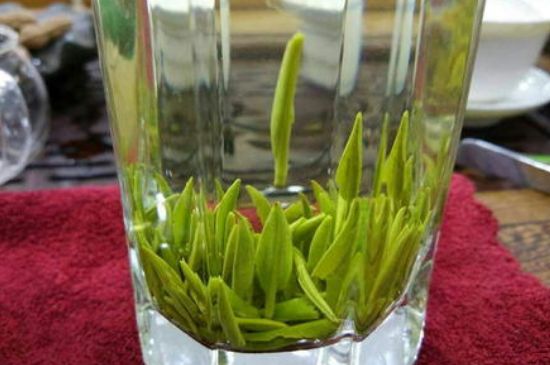 雀舌有一股青草味，雀舌為什么有青草味？