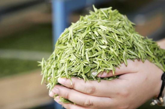 高山云霧茶屬于什么茶，高山云霧茶哪里的最好