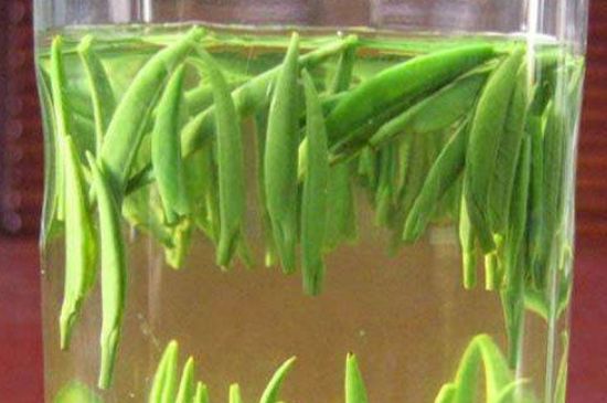 竹葉青和毛尖的區(qū)別，毛尖和竹葉青怎么分辨？