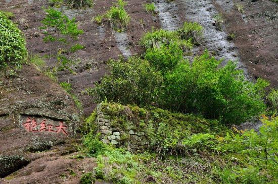 武夷巖茶大紅袍，喝起來是什么味道？