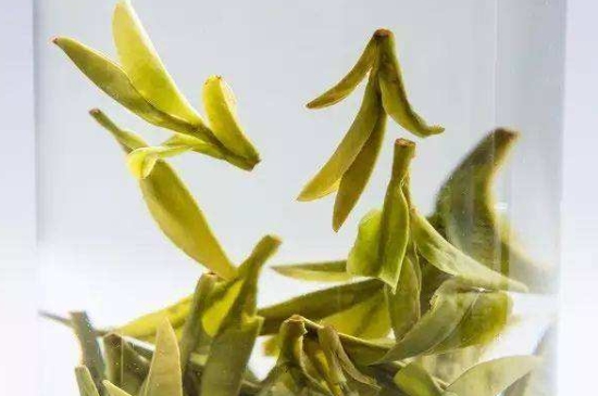 烏牛早和龍井的區(qū)別圖片，龍井43號(hào)和烏牛早茶的對(duì)比