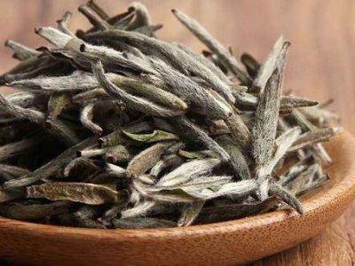 白茶有哪些品種排名，<a href=http://m.kptqqz.com/fenlei/baicha/ target=_blank class=infotextkey>白茶的種類(lèi)</a>大全