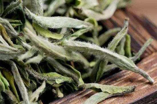 荒野銀針有什么特點，荒野銀針的味道口感咋樣？