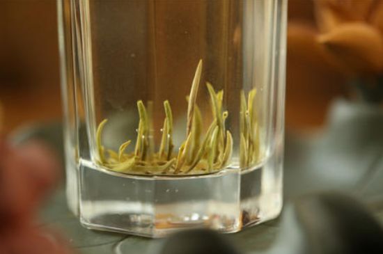 踏雪蘭妃是什么茶，踏雪蘭妃是哪里的茶葉?