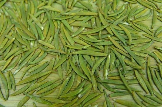 竹葉青和毛尖的區(qū)別，毛尖和竹葉青怎么分辨？