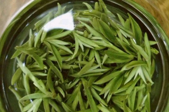 什么綠茶茶葉唇齒留香，哪個品種綠茶香氣好？