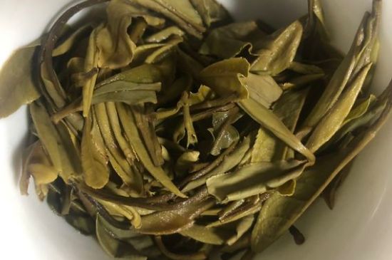 三年白茶賽砒霜，這是真的嗎？